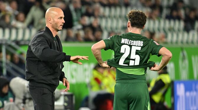 VfL Wolfsburg - TSG Hoffenheim VfL Wolfsburg - TSG Hoffenheim