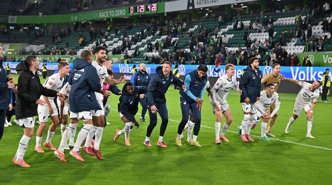 VfL Wolfsburg - TSG Hoffenheim