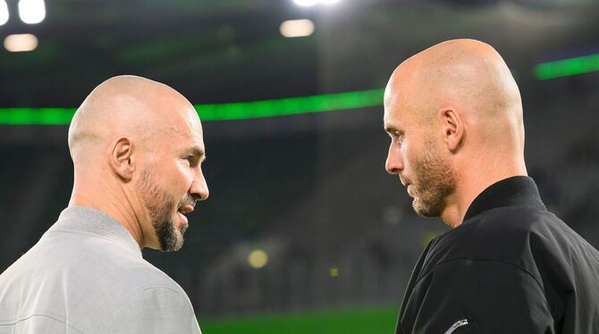 VfL Wolfsburg - TSG Hoffenheim