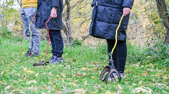 Hobby-Dogging - ein neuer Trend Hobby-Dogging - ein neuer Trend