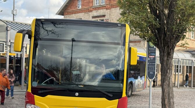 Die Buslinie 203 gehört zum Metzinger Linienbündel und fährt neuerdings bis Pliezhausen, was vor allem den Schülern zu-gutekommt Die Buslinie 203 gehört zum Metzinger Linienbündel und fährt neuerdings bis Pliezhausen, was vor allem den Schülern zu-gutekommt