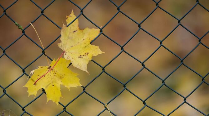 Wetter in Baden-Württemberg