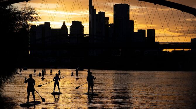 Stand-Up-Paddling auf dem Main