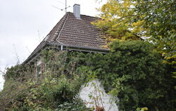 Das seit vielen Jahren leerstehende Haus im Reutlinger Wohngebiet wächst langsam zu. Efeu hat Besitz von allen Seiten genommen.