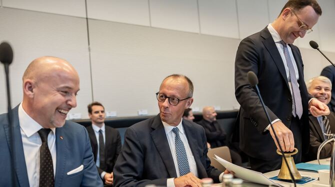 Sitzungen und Statements der Bundestagsfraktionen