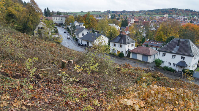Drei Baugrundstücke am Hang haben bald neue Eigentümer. FOTO: LENK Drei Baugrundstücke am Hang haben bald neue Eigentümer. FOTO: LENK