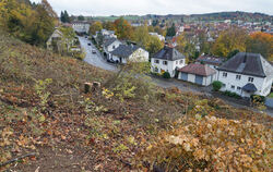 Drei Baugrundstücke am Hang haben bald neue Eigentümer.  FOTO: LENK