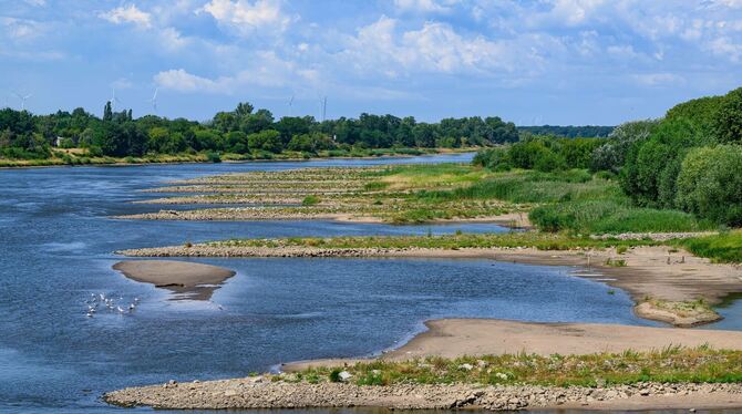 Niedrigwasser im Grenzfluss Oder