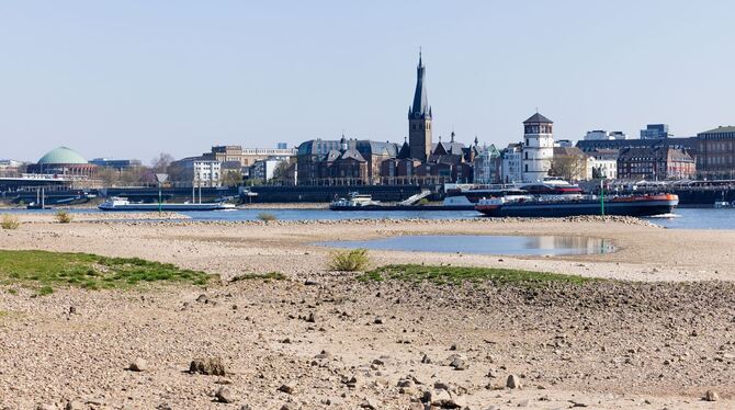 Trockenheit am Rhein