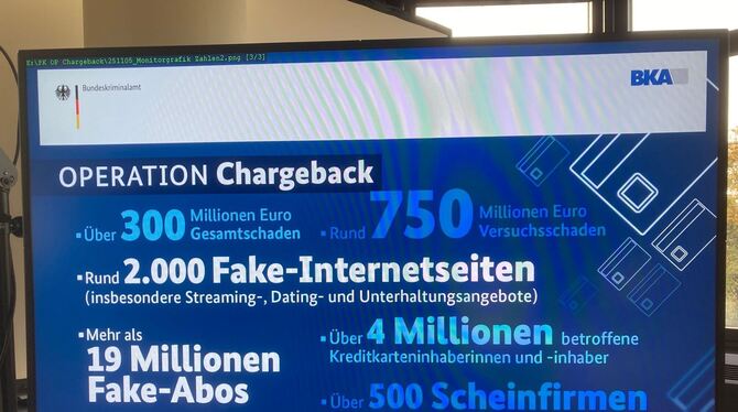 Bundeskriminalamt zu Betrugs- und Geldwäschenetzwerken