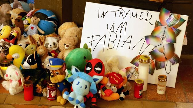 Fall Fabian in »Aktenzeichen XY...« Fall Fabian in »Aktenzeichen XY...«