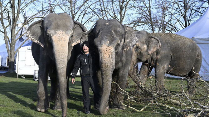 Reutlinger Weihnachts-Circus: Elvis Erranie und seine drei Elefantendamen. Elvis Errani und seine drei Elefantendamen traten 2024 im Reutlinger Weihnachtscircus auf.