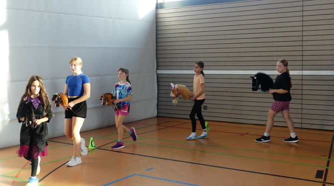 Hobbyhorsing Hobbyhorsing kommt aus Finnland uns ist mittlerweile fester Besandteil im Sportprogramm des SV Walddorf.