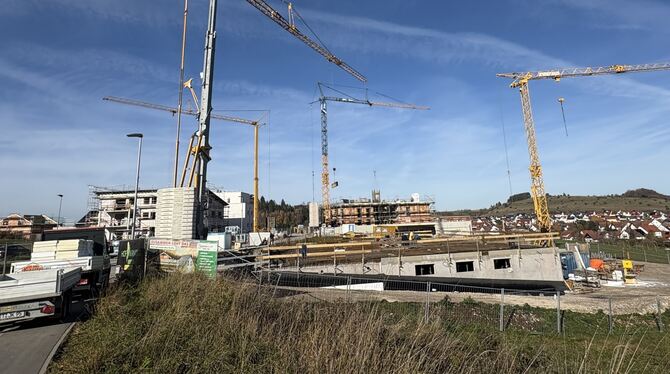 Der Münsinger Bebauungsplan »Finkenstraße« muss nachgearbeitet werden.