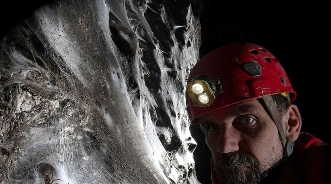 Griechenland: Spinnennetz in Höhle entdeckt