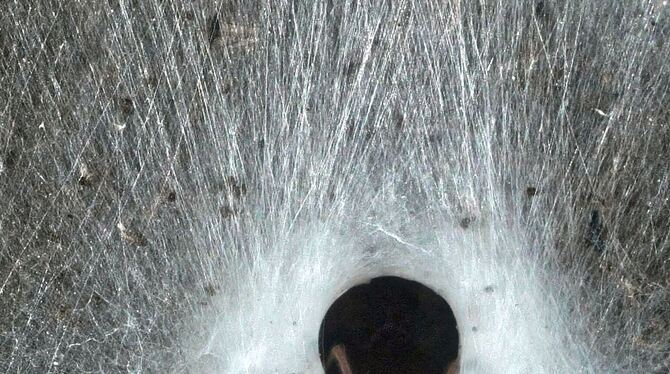 Griechenland: Spinnennetz in Höhle entdeckt