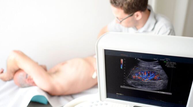 Chronische Nierenkrankheiten Chronische Nierenkrankheiten