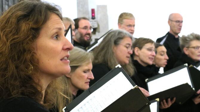 südwestdeutscher kammerchor taste und ton peter und paul storlach foto akr Chormusik mit Herz und Zwischentönen: Der Südwestdeutsche Kammerchor in St. Peter und Paul.