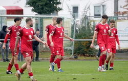 Enttäuschung pur bei den SSV-Spielern nach dem zweiten Gegentor: (von links) Jonathan Hageloch, Luca Plattenhardt, Willie Sauerb