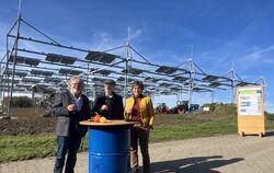 Haben Grund zur Freude: Der Hohenheimer Professor Ralph Vögele, Rektor Christoph Schneider  und Staatssekretärin Sabine Kurtz (v