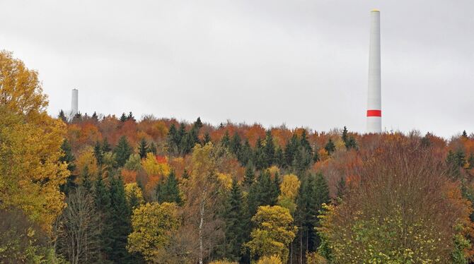 Zum Gemeindewald gehört unter anderem die Fläche links der Straße zwischen Gomadingen und Bernloch, wo derzeit die neuen Windkra