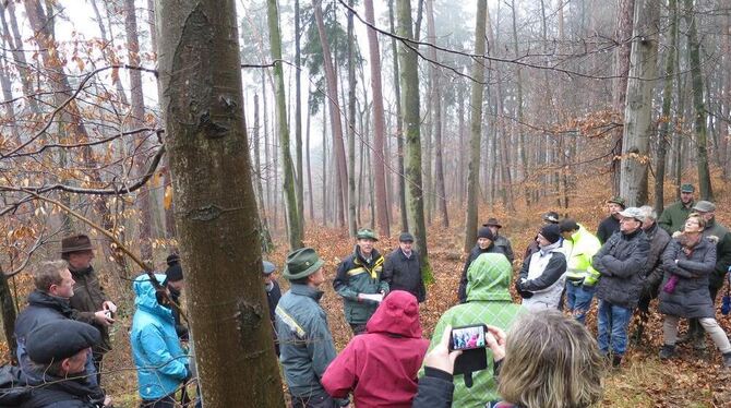 Gäste und Gemeinderäte mit Forstfachleuten im Gomaringer Wald – trotz Schmuddelwetter sogar mit Erinnerungsfoto.  GEA-FOTO: MERK