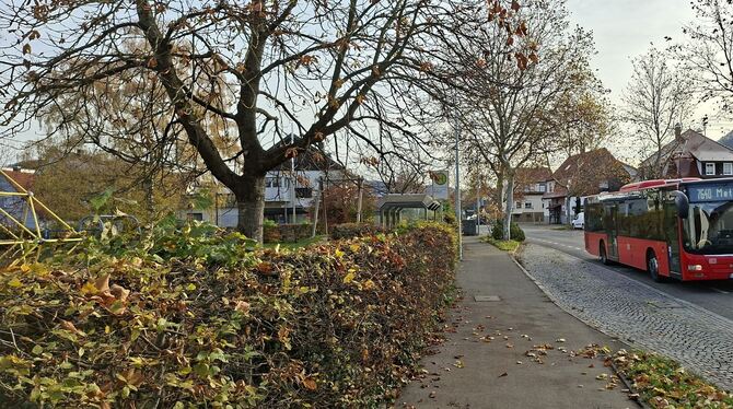 Buslinie 7640 Haltestelle Rösegarten Neuhausen Noch bedient der Regionalverkehr Alb-Bodensee (RAB) die Linie 7640 (Metzingen - Bad Urach) und damit auch die Haltestelle Rösega