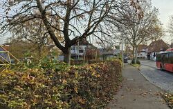 Noch bedient der Regionalverkehr Alb-Bodensee (RAB) die Linie 7640 (Metzingen - Bad Urach) und damit auch die Haltestelle Rösega