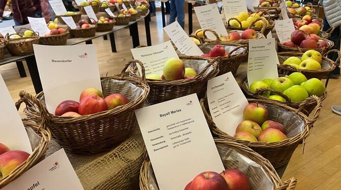 Regionaler wird's nicht: Der Apfel - in überbordender Sortenvielfalt - wurde im Tagungssaal ausgestellt.