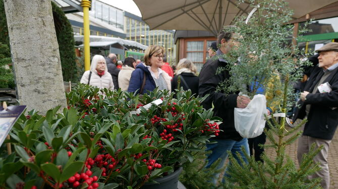 So manche Pflanze wechselte am Sonntag in Betzingen den Besitzer.