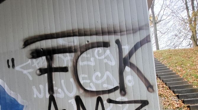 In der Woche vor dem Bürgerentscheid wurde die Brücke zwischen Hengen und Grabenstetten - ganz in der Nähe des geplanten Standor