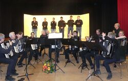 Die Akkordeonfreunde Pliezhausen und die Huggendubbels haben gemeinsam in der Gemeindehalle ein Konzert gegeben. FOTO: SANDER