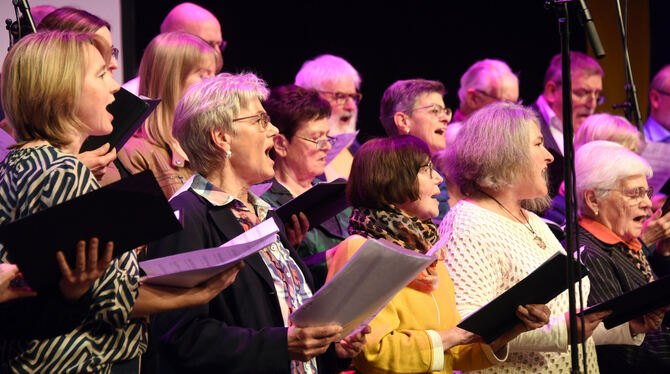 Der Jubiläumschor umrahmte zusammen mit den Sonnenbühler Posaunenbläsern den Festabend musikalisch.