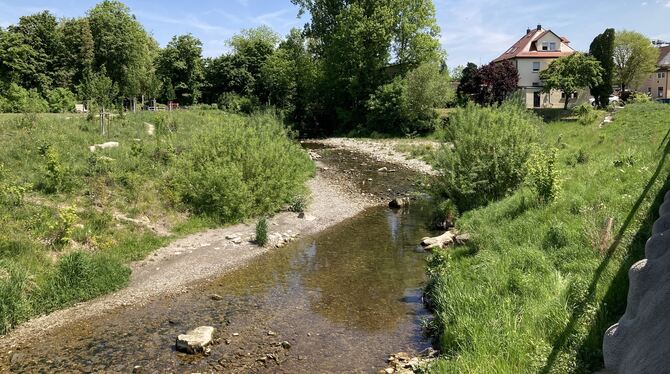 Nach der Renaturierung: Eine losgelöst dahinplätschernde Echaz, ökologisch wertvoll und mit attraktivem Umfeld noch dazu.