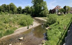 Nach der Renaturierung: Eine losgelöst dahinplätschernde Echaz, ökologisch wertvoll und mit attraktivem Umfeld noch dazu.