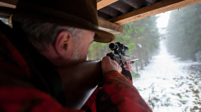 Am Freitag und Samstag sind in den Wäldern um Metzingen Jäger und Jagdhunde unterwegs.  FOTO: SCHULZE/DPA