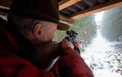 Am Freitag und Samstag sind in den Wäldern um Metzingen Jäger und Jagdhunde unterwegs.  FOTO: SCHULZE/DPA