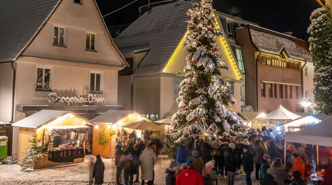 Auch der Eninger Weihnachtsmarkt ist ein Kalendermotiv.  FOTO: FOTOFREUNDE