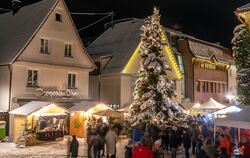 Auch der Eninger Weihnachtsmarkt ist ein Kalendermotiv.  FOTO: FOTOFREUNDE