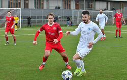 Mann des Tages: Young-Boys-Dreierpacker Ante Galic (rechts).