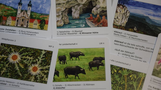 Albquartett Ein liebevoll illustriertes Kartenspiel über die Alb hat Susanne Bächer hergestellt.
