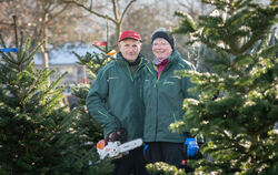 Die Holzelfinger Eheleute Hans und Hella Fischer gehören zu den ganz treuen Händlern des großen Reutlinger Christbaummarkts auf