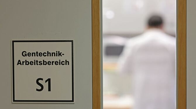 Forschung zu klimaresistenten Pflanzen am IPK Gatersleben