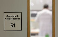 Forschung zu klimaresistenten Pflanzen am IPK Gatersleben