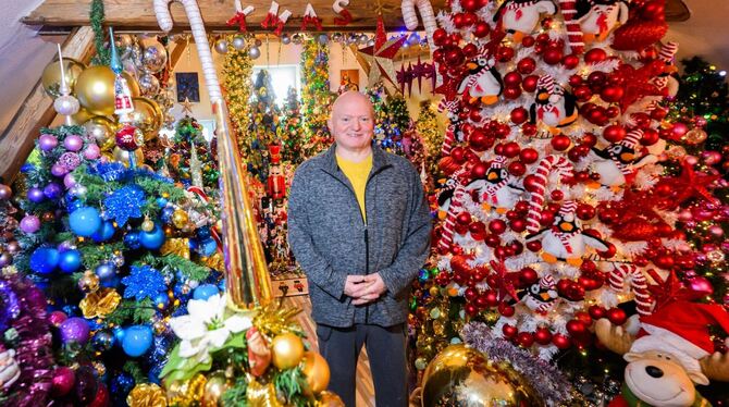 Familie schmückt ihr Haus mit 621 Weihnachtsbäumen