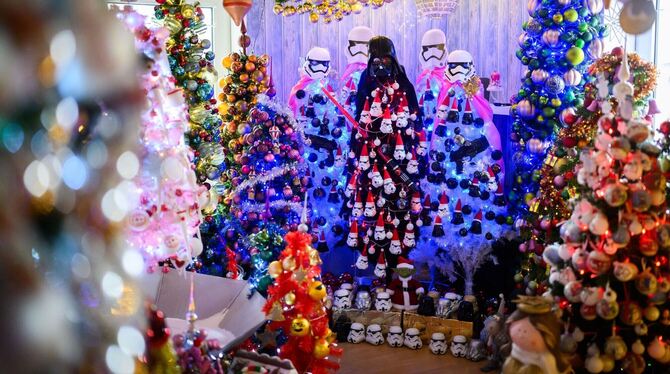 Familie schmückt ihr Haus mit 621 Weihnachtsbäumen