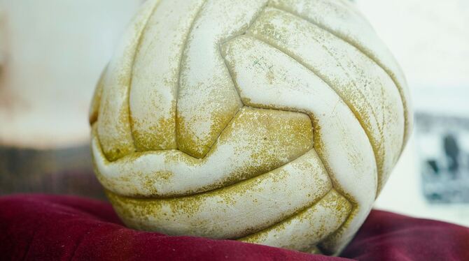 Weltmeisterschaftsfußball