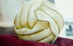 Weltmeisterschaftsfußball