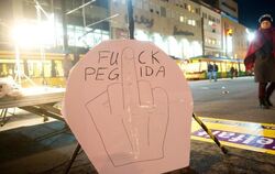Zeitgleich mit der Pegida-Kundgebung fand eine Gegendemonstration «Für ein vielfältiges, weltoffenes und solidarisches Karlsr