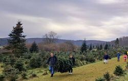 Familie Goller hat seit Jahrzehnten eine Christbaumkultur in St. Johann. Dort kann man auch Bäume selber schlagen.
